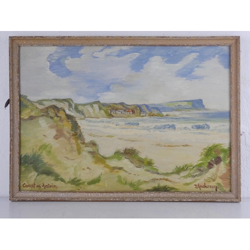 78 - An early framed oil on board 'Coast of Antrim' signed E Anderson, measuring including frame 22