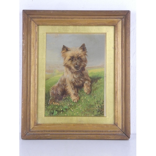 191 - A framed vintage print of a dog, 'Bonheur/ Happiness', measuring 27cm x 31.5cm including frame.