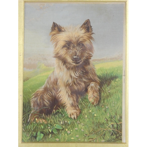 191 - A framed vintage print of a dog, 'Bonheur/ Happiness', measuring 27cm x 31.5cm including frame.