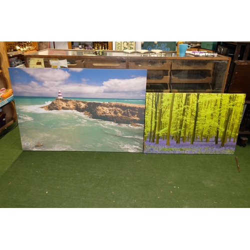 496 - Two large canvas panels of a beach scene and a forest scene.