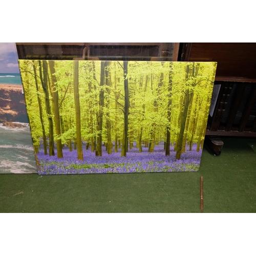 496 - Two large canvas panels of a beach scene and a forest scene.