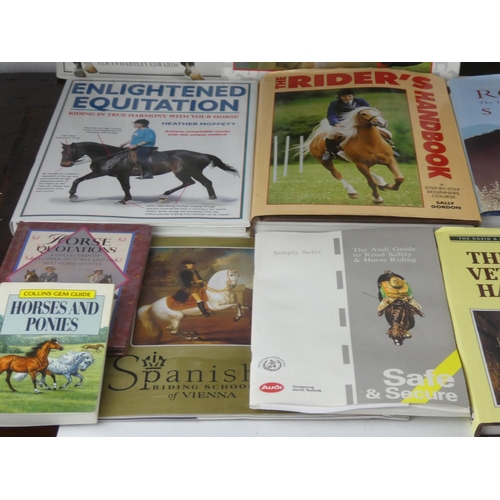 325 - A large lot of Equestrian reference books.