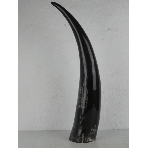 391 - A large horn.