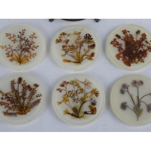 71 - A vintage RVW (Rauchwaren Veredlung Weinheim) coaster set, with dried flowers set in resin, stacked ... 