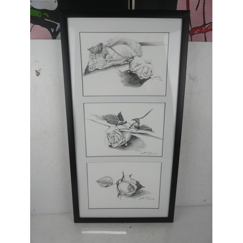 231 - A collage of three framed pencil drawings of roses, measuring 14