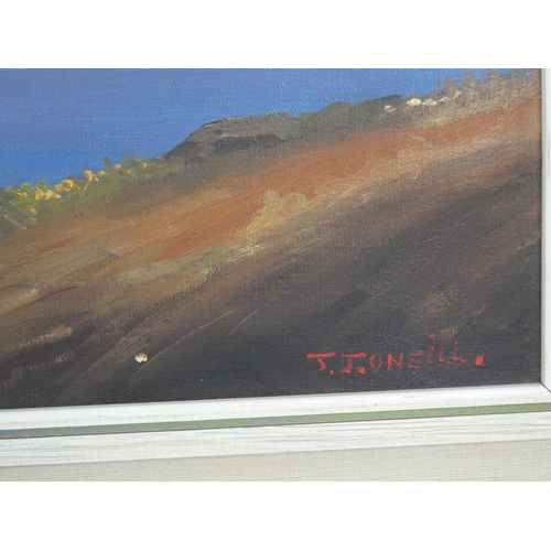 319 - A stunning oil painting 'Delphi Connemara' signed by Irish Artist JJ O'Neill.  Measuring approx 74x5... 