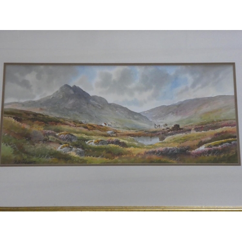 332 - A stunning gilt framed watercolour 'Bringing home the Turf' signed by Irish Artist R B Higgins, meas... 