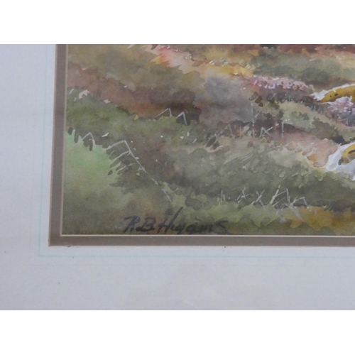 332 - A stunning gilt framed watercolour 'Bringing home the Turf' signed by Irish Artist R B Higgins, meas... 