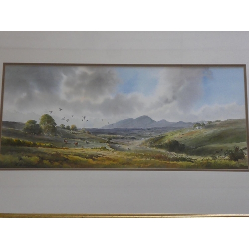 333 - A stunning gilt framed watercolour 'Irish landscape' signed by Irish Artist R B Higgins, measuring i... 