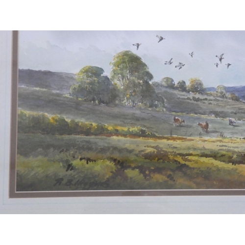 333 - A stunning gilt framed watercolour 'Irish landscape' signed by Irish Artist R B Higgins, measuring i... 