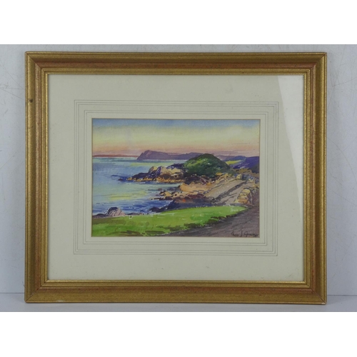 348 - A framed watercolour signed Theo Gracey.