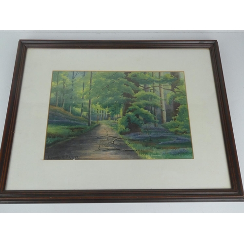 351 - A framed watercolour of a forest scene, signed Dorothy E Browne.