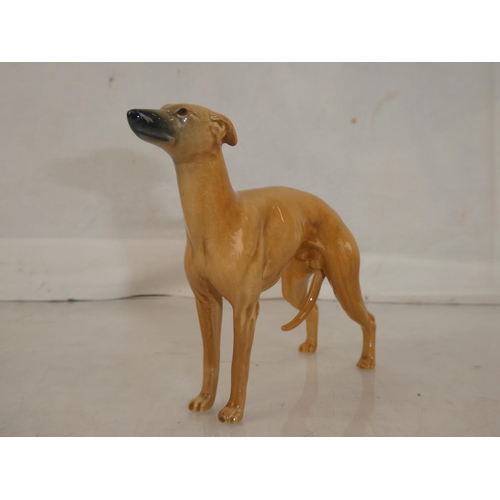 28 - A Beswick whippet.