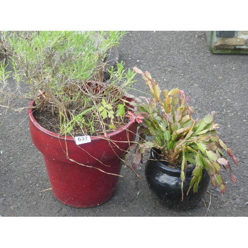 637 - Two glazed garden plant pots, measuring 11.5 and 6.5