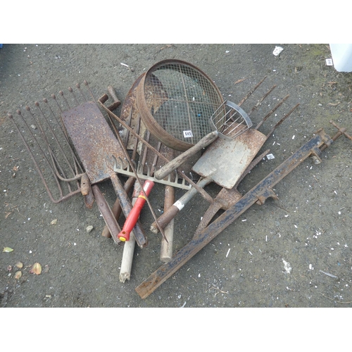 645 - A lot of assorted garden tools to include a garden sieve, pick axe head, forks and more.