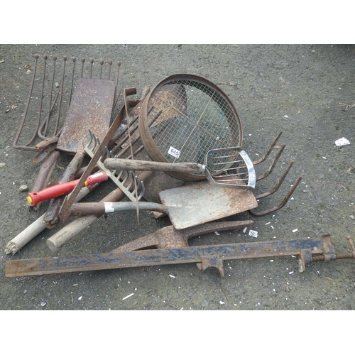 645 - A lot of assorted garden tools to include a garden sieve, pick axe head, forks and more.