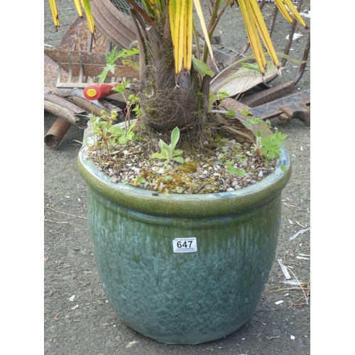 647 - A glazed plant pot, measuring 12