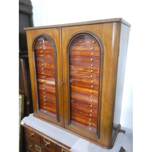 26 - A stunning antique mahogany two door specimen cabinet with 20 drawers.