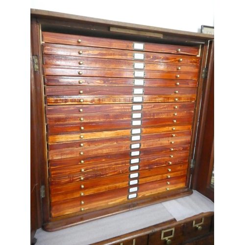 26 - A stunning antique mahogany two door specimen cabinet with 20 drawers.