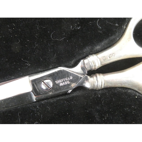 102 - A cased pair of Sterling Silver handled scissors.