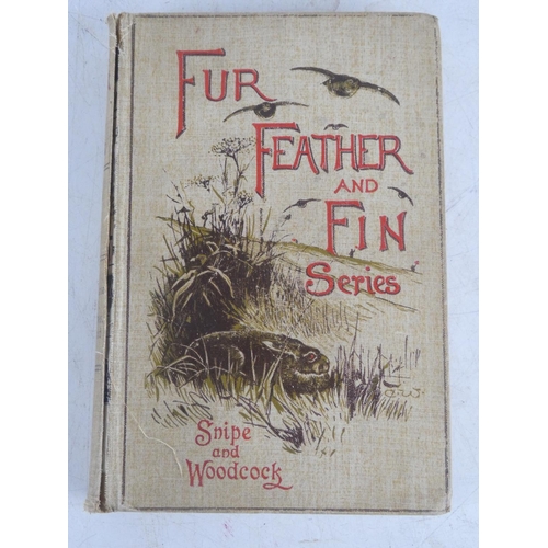 173 - 'Fur Feather and Fin Series' book by Snipe and Woodcock.