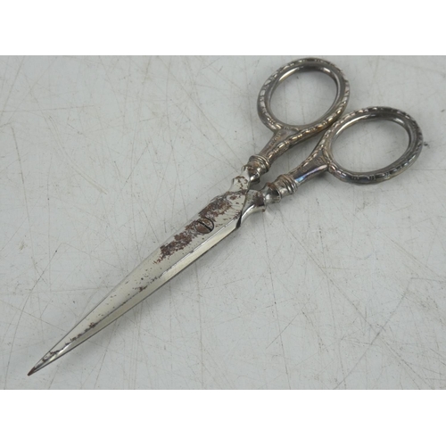 317 - A cased pair of Sterling Silver handled scissors presented to Mrs E C Stevenson by Gold Springs of C... 