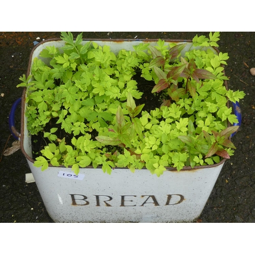 105 - An upcycled enamel 'Bread' box planter.