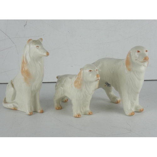 126 - Three Belleek pottery dogs.