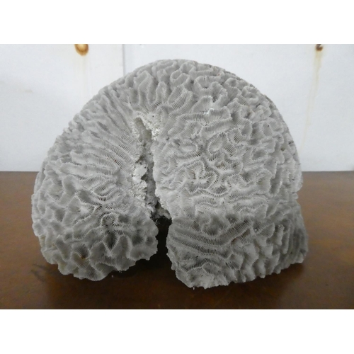 Lot 245       