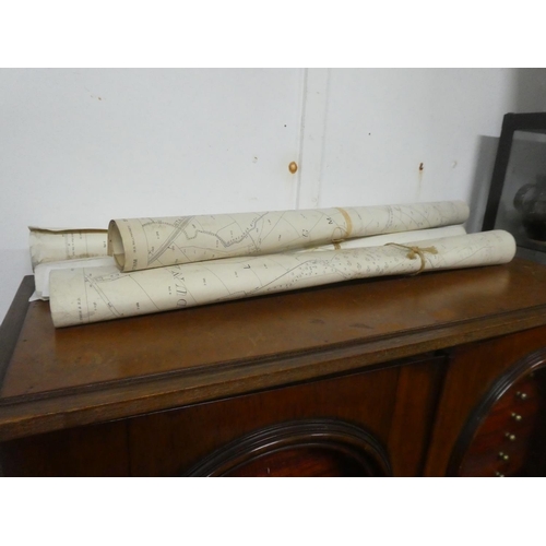 Lot 257       