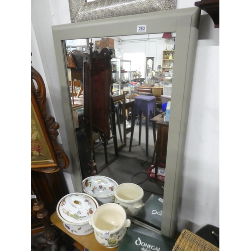 Lot 263       
