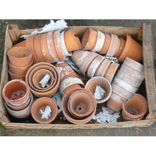 514 - A job lot of terracotta plant pots (a/f).