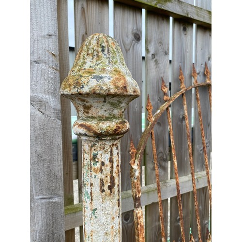 210 - A stunning set of antique cast iron gate posts, each measuring XXcm, along with original antique gat... 