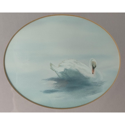 236 - A framed watercolour of a swan, 37cm x 30cm.