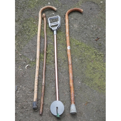 496 - Three vintage walking sticks and a Featherwate shooting stick.