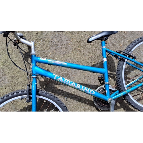 655 - Tamarind Concept mountain bike, blue frame, with knobby tires, standard brakes, and a comfortable sa... 