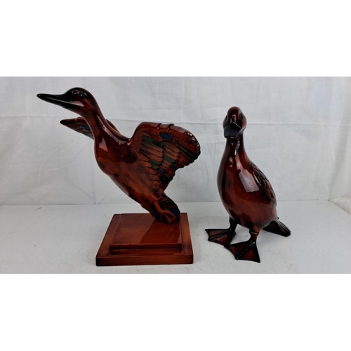 59 - Pair of handcrafted wooden duck sculptures with a glossy finish. They feature intricate feather deta... 