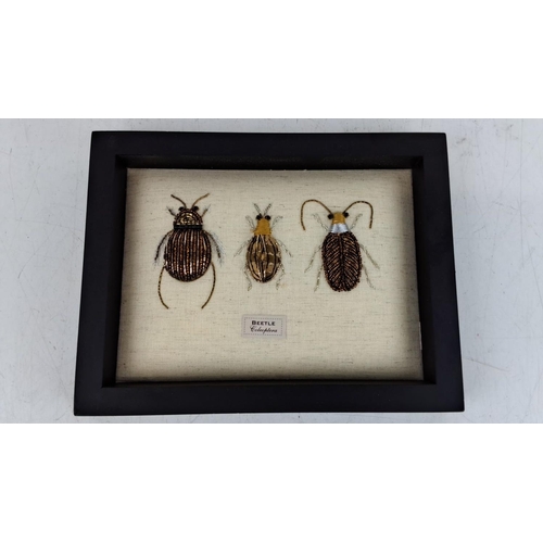 99 - Framed textile art of three embroidered beetles labeled 