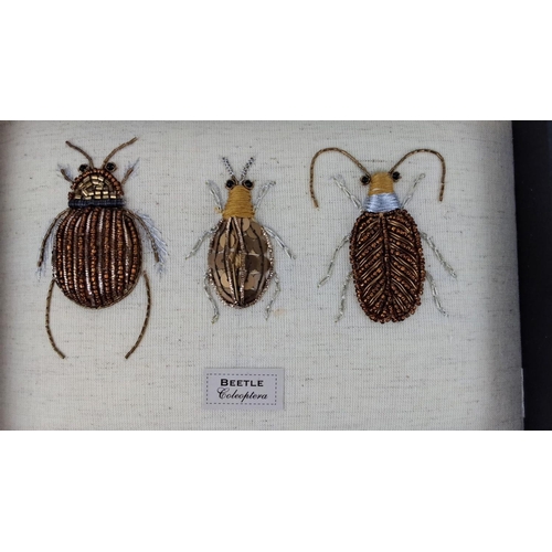 99 - Framed textile art of three embroidered beetles labeled 