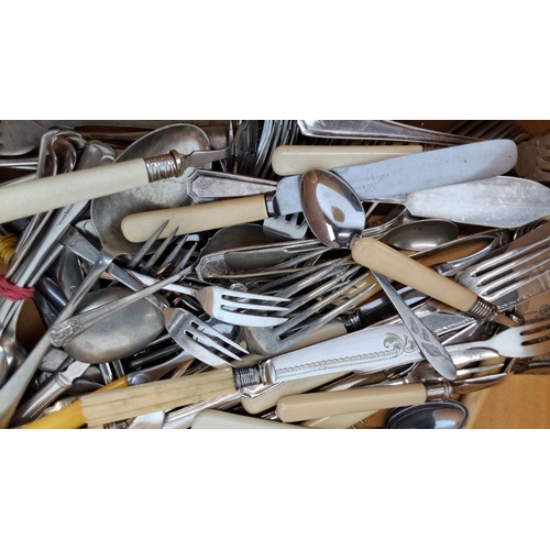 467 - Vintage cutlery lot including forks, spoons, and knives. Variety of handles, some with cream-colored... 