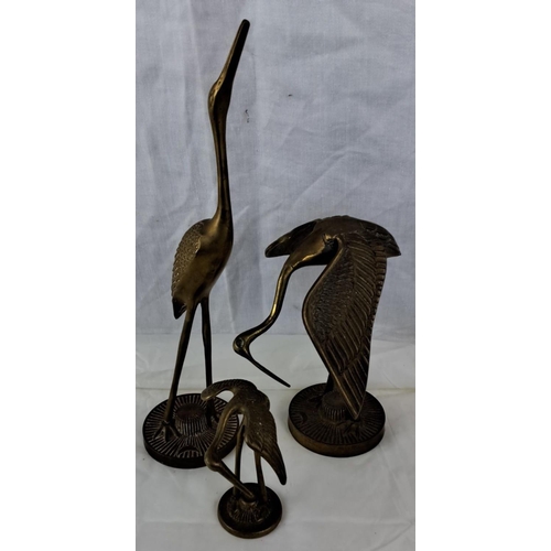 76 - A set of three vintage brass crane sculptures with varying poses.