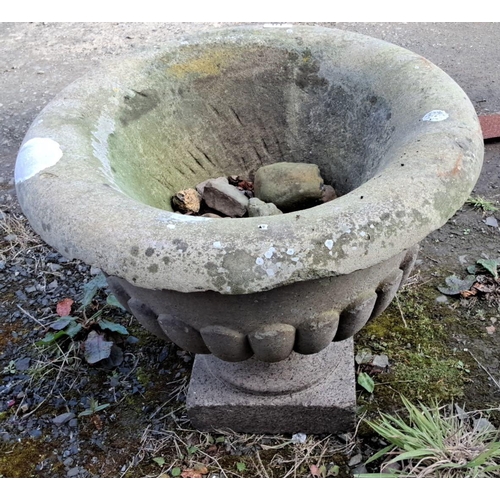 10 - Concrete garden urn with classic fluted design and a pedestal base.