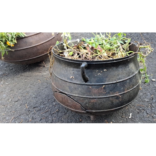 26 - Two cast iron cauldrons with handles and lid (a/f).