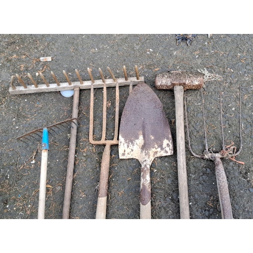 56 - Collection of six vintage gardening tools includes a pitchfork, shovel, smaller fork, two rakes, and... 