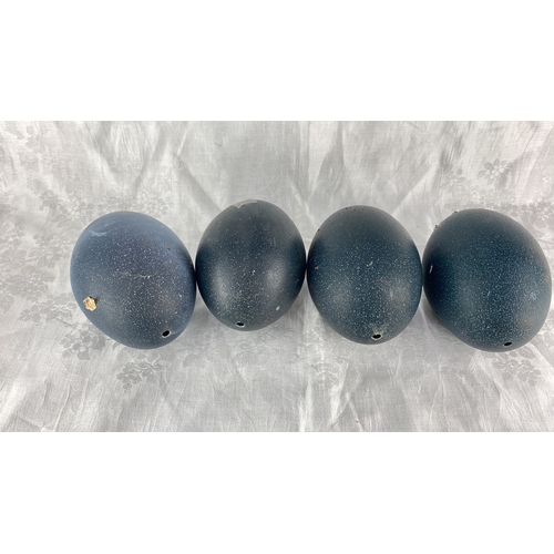 89 - Set of Four Blue ostrich Eggs, showcasing a natural speckled texture and deep blue coloration.