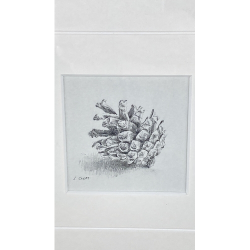 119 - Graphite drawing of a pinecone by L. Crees, finely detailed and elegantly framed.  Measuring  26x27c... 