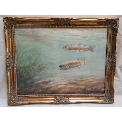 125 - Oil painting of fish signed by artist Tom Wilson, framed in an ornate gilt frame.