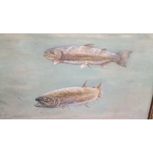 125 - Oil painting of fish signed by artist Tom Wilson, framed in an ornate gilt frame.