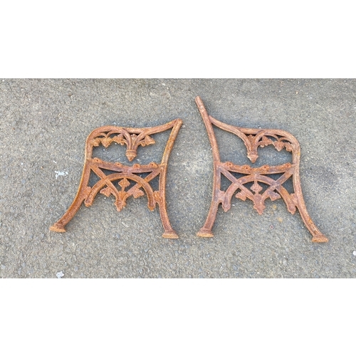 408 - Pair of antique cast iron bench ends featuring decorative grapevine and foliate motifs in Gothic Rev... 