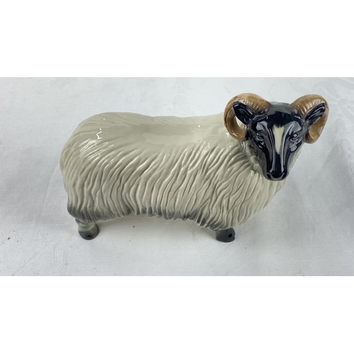 26 - Ceramic ram figurine, made in England. Glossy finish with intricate detailing of fur and horns, meas... 